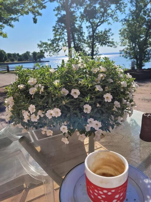 Om Chalet 1 Avec Spa Face Au Fleuve Saint-Jean エクステリア 写真